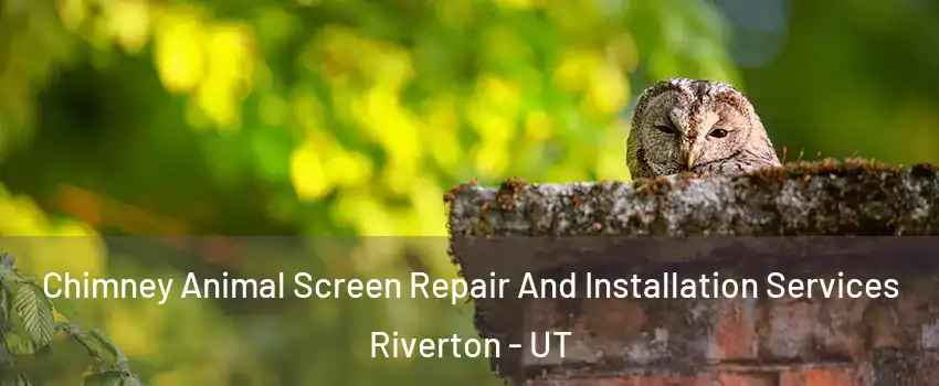  Chimney Animal Screen Repair And Installation Services Riverton - UT