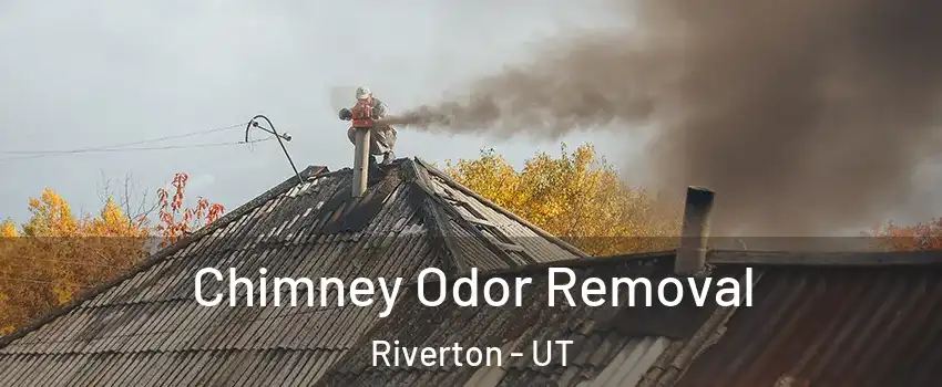  Chimney Odor Removal Riverton - UT