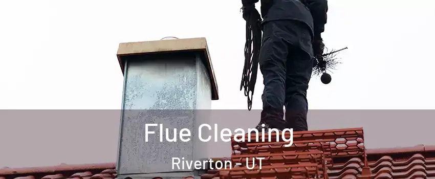  Flue Cleaning Riverton - UT