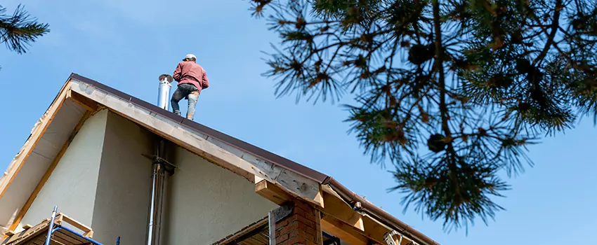 Birds Removal Contractors from Chimney in Riverton, UT
