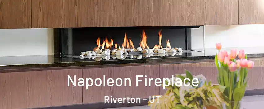  Napoleon Fireplace Riverton - UT